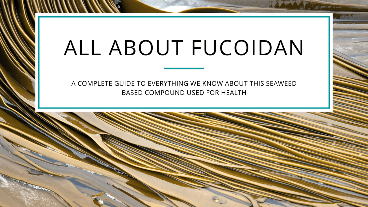 Fucoidan blog cover