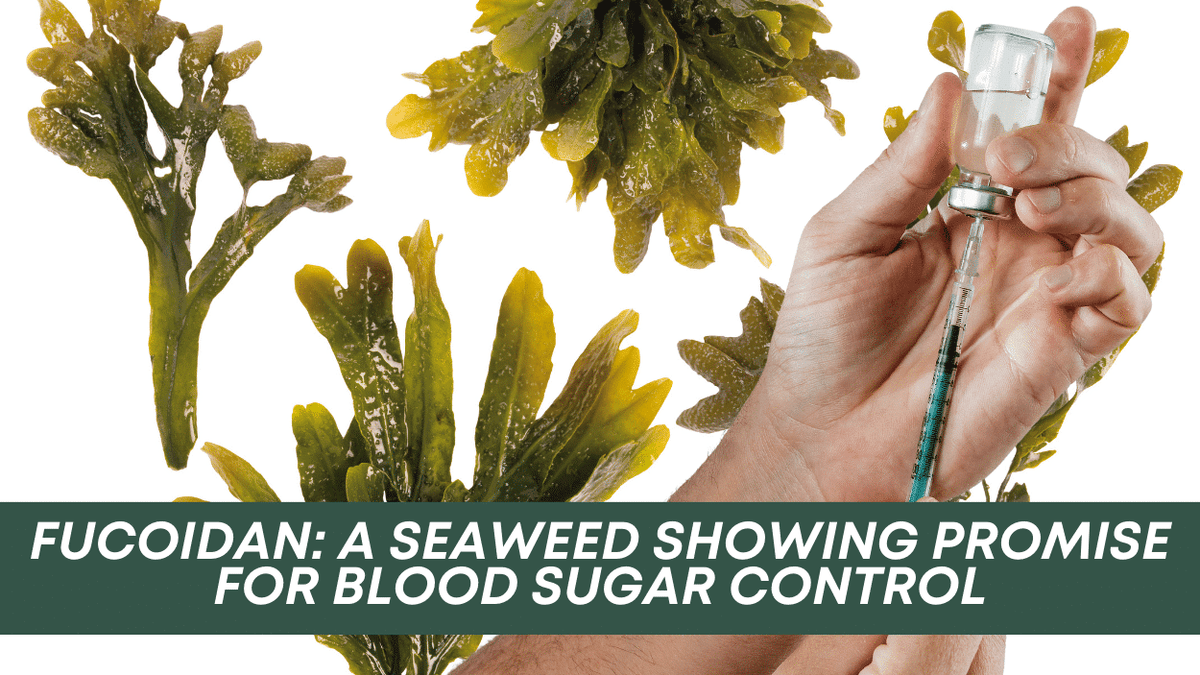 Fucoidan and blood sugar blog cover