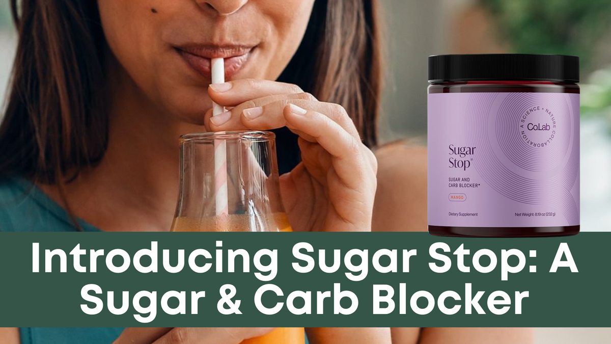 Sugar Stop Intro